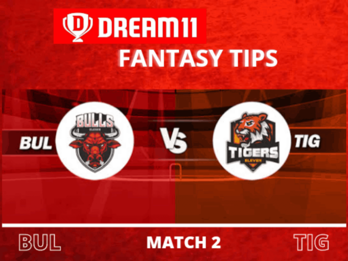 BUL vs TIG Prediction, Dream11 Fantasy Tips & Players Record | Match 2, Siechem Pondicherry T20 2020