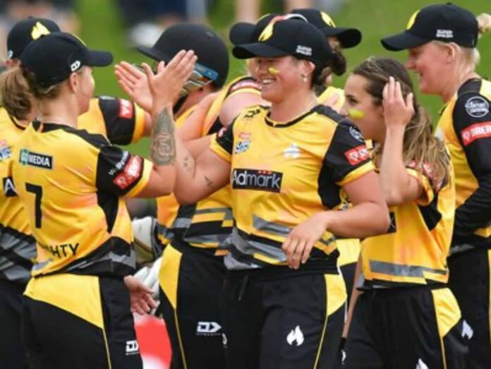 WB-W vs AH-W, Wellington Blaze vs Auckland Hearts Dream11 Prediction, Fantasy Cricket Tips, Playing XI, Pitch Report and Players Record | Match 1, Dream11 Women's Super Smash T20 2020
