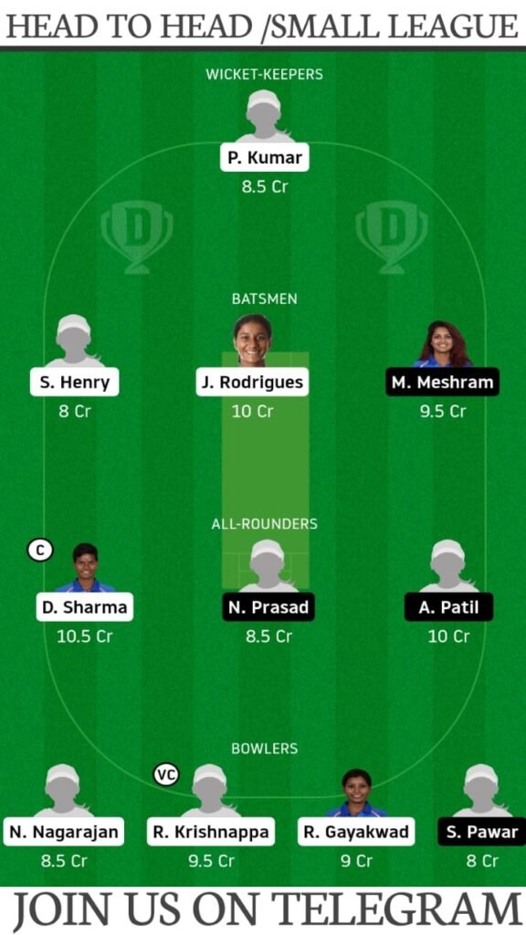SHN-W vs AMY-W, Sheen Sports vs Ameya Sports Dream11 Prediction, Fantasy Cricket Tips, Playing XI, Pitch Report & Players Record | Playoff, T20 India Nippon Cup 2021