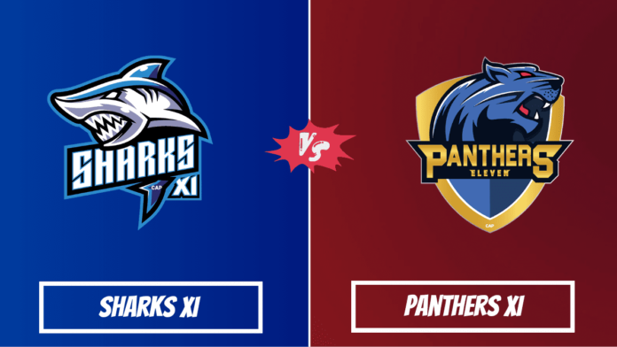 SHA vs PAN Dream11 Prediction, Players Stats, Record, Fantasy Team, Playing 11 and Pitch Report — Match 9, Pondicherry T20, 2023