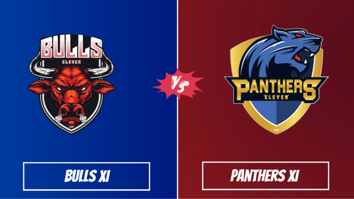 BUL vs PAN Dream11 Prediction, Players Stats, Record, Fantasy Team, Playing 11 and Pitch Report — Match 13, Pondicherry T20 2023
