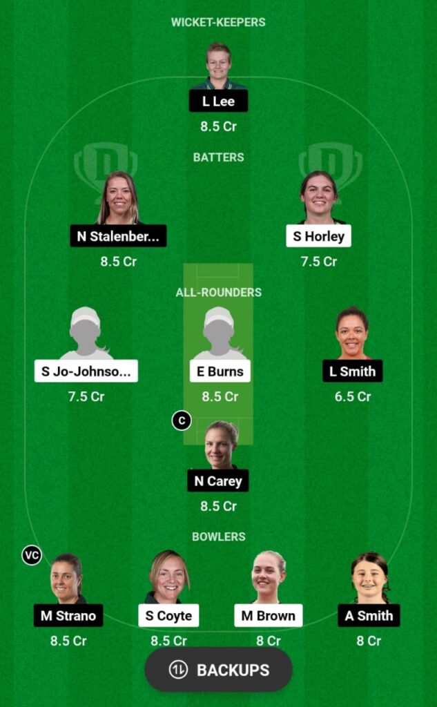 NSW-W vs TAS-W Dream11 Prediction, Head To Head, Players Stats, Fantasy Team, Playing 11 and Pitch Report — Match 23, Australian Women’s NCL 2023-24